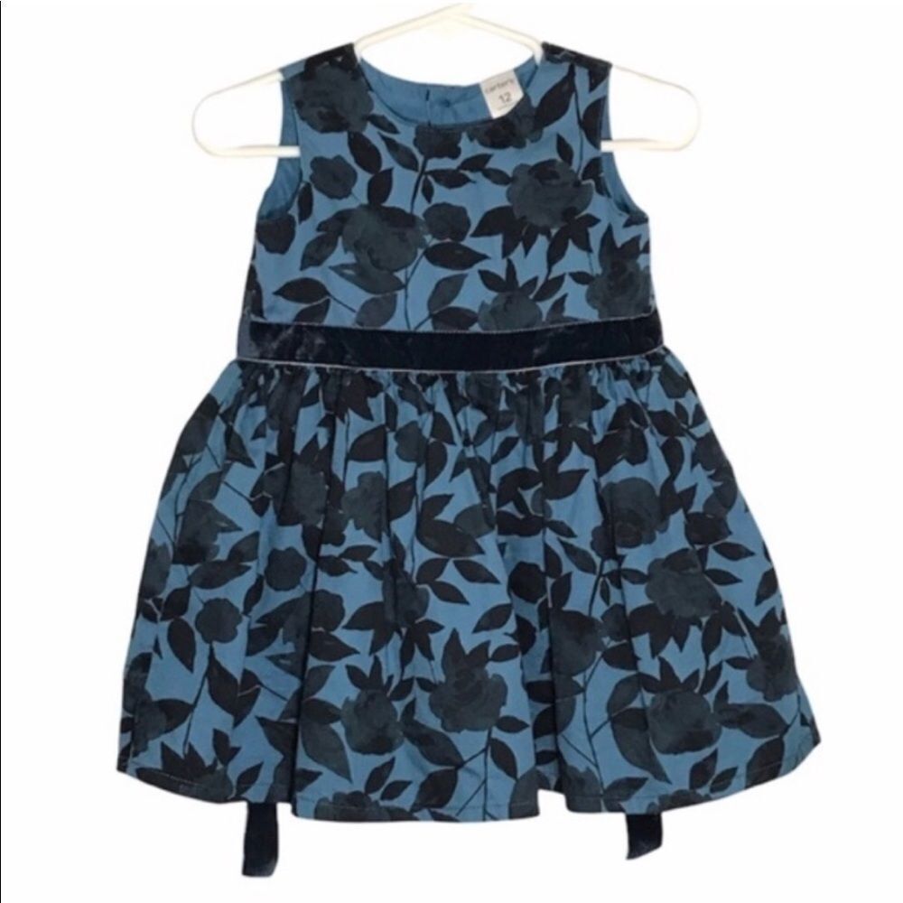Carter’s Blue Floral Dress